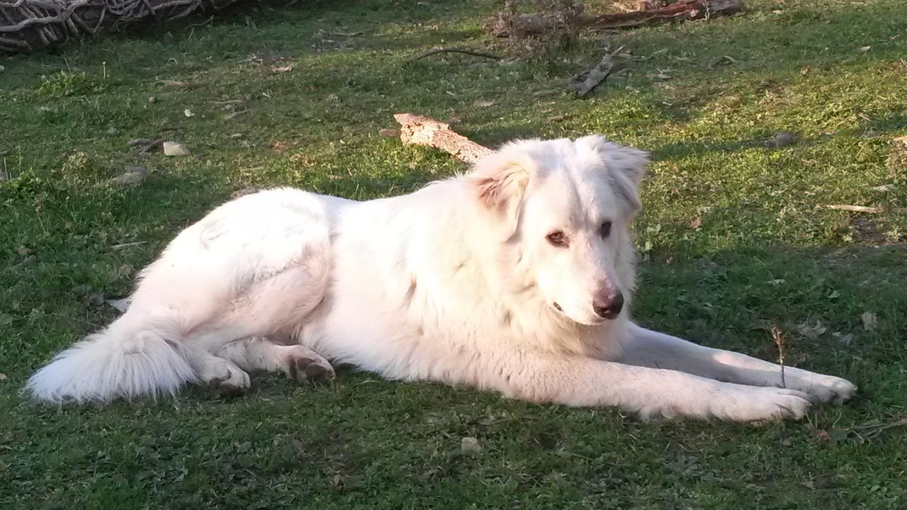 Giunasco Bagnone Buitenkant foto